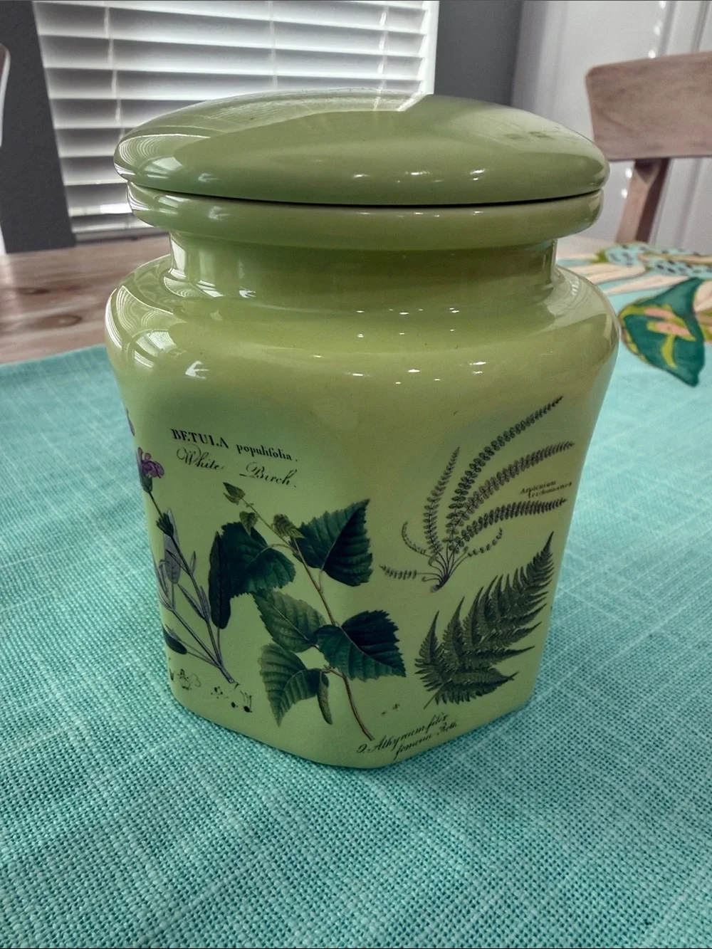 Herb-Printed Green Ceramic Canister - Brand Unspecified